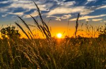 HSS (UK) Perspectives: Sustainable Solutions driven by Sanskār